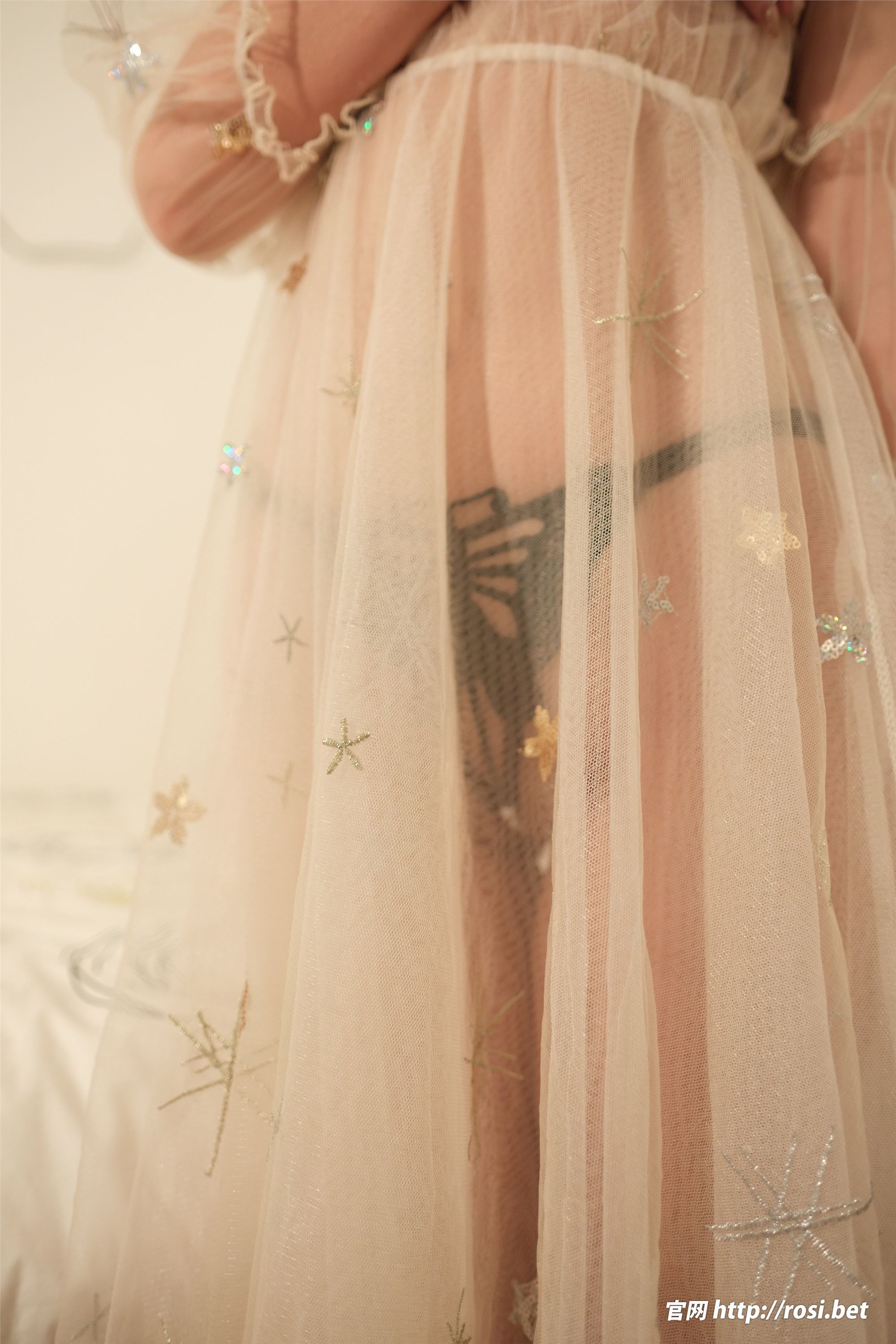 ROSI写真 2024.11.28 NO.4742